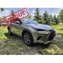 Lexus NX 2020 Premium Gri 38 mii km Lexus NX 2020 Premium Gri 38 mii km